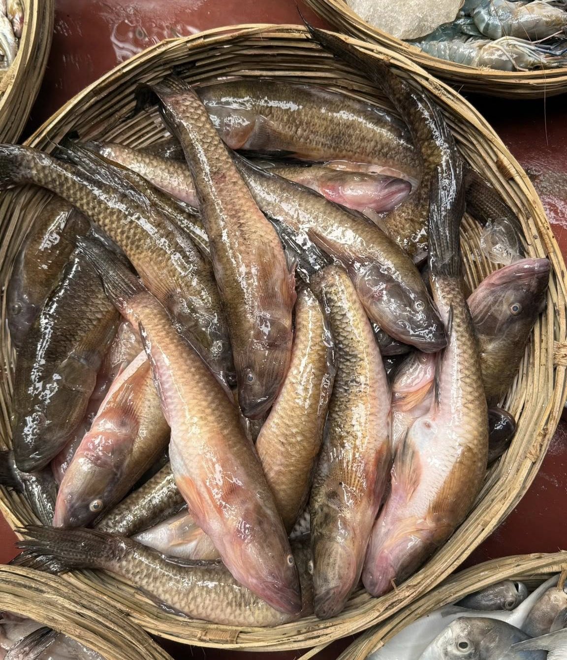 বাইলা মাছ বড়