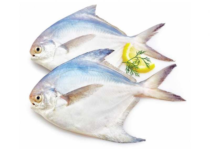 রূপচাঁদা(Rupchada).Size:6-7 Pcs kg