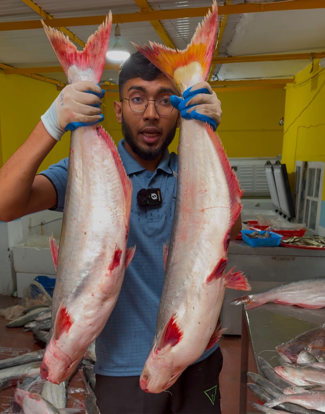 River Pangash Fish (নদীর পাঙ্গাস)