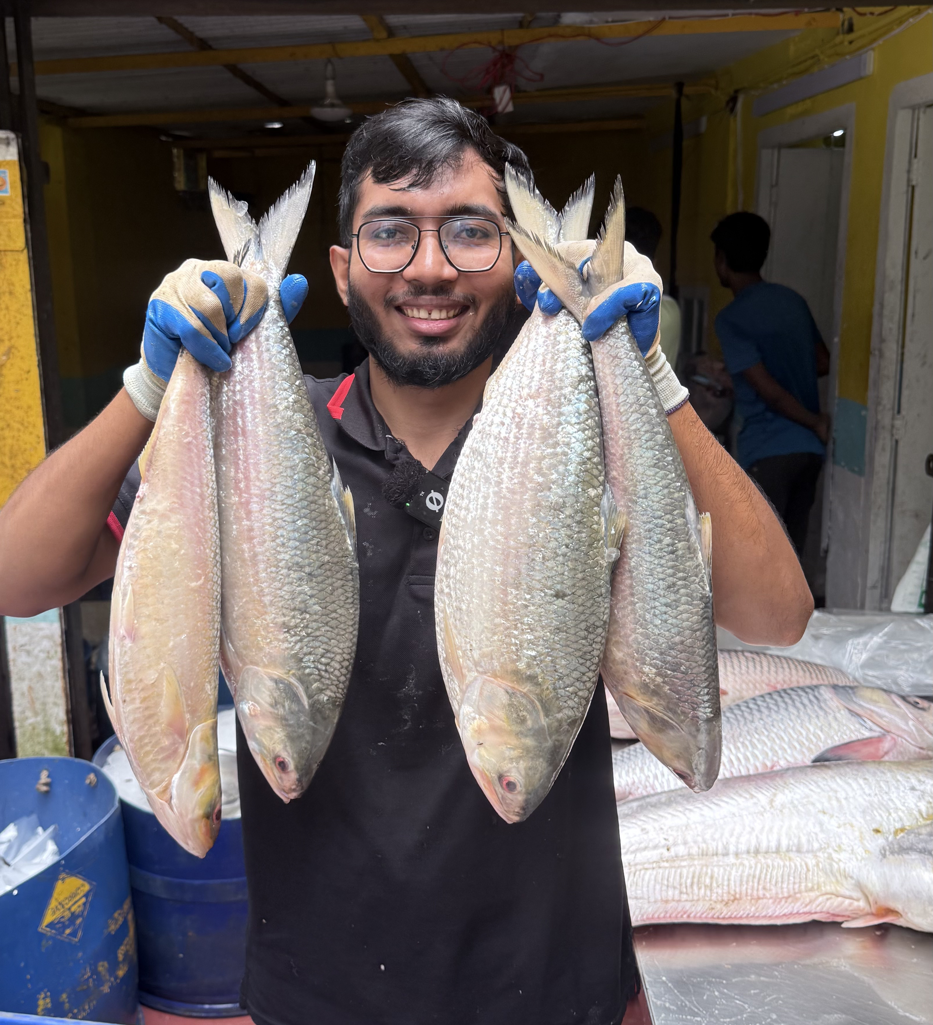 ইলিশ 1000 - 1100 গ্রাম সাইজ